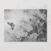 Schwarz-Weiß-Schmetterling Postkarte (Vorderseite)