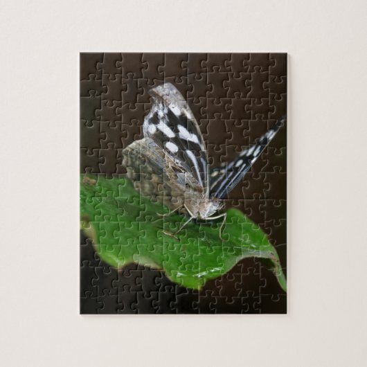 Schwarz-Weiß-Schmetterling Puzzle (Vertikal)