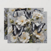 Schwarz-Weiß-Schmetterlinge auf weißen Blume, (Vorne/Hinten)