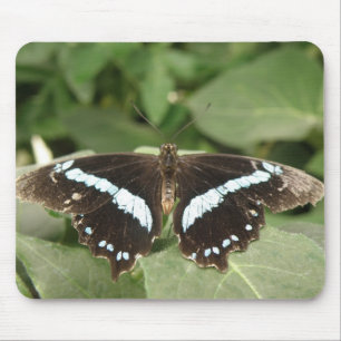 Schwarz-Weiß-Schmetterlingsmopad Mousepad