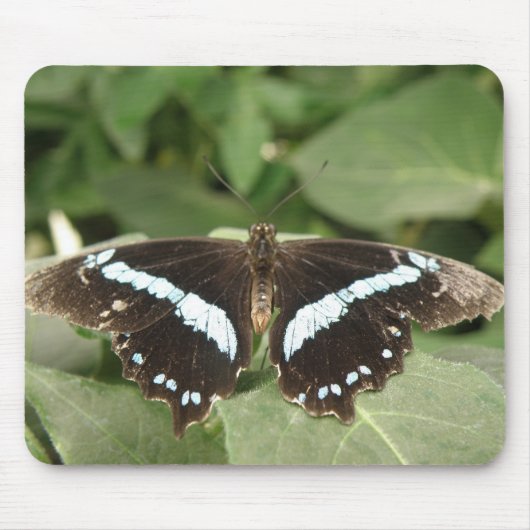 Schwarz-Weiß-Schmetterlingsmopad Mousepad (Vorne)