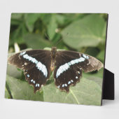 Schwarz-Weiß-SchmetterlingsPlaque Fotoplatte (Seite)