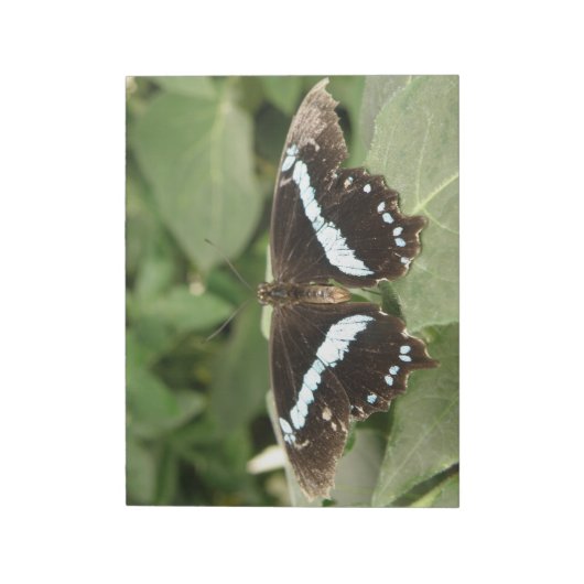 Schwarz-Weiß-Schmetterlingsplatte Notizblock (Rotiert)