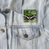 Schwarz-Weiß-Schmetterlingstaste Button (Beispiel)