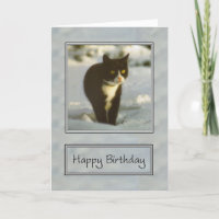 Schwarz-Weiß-Schnee-Kätzchen glücklicher Geburtsta