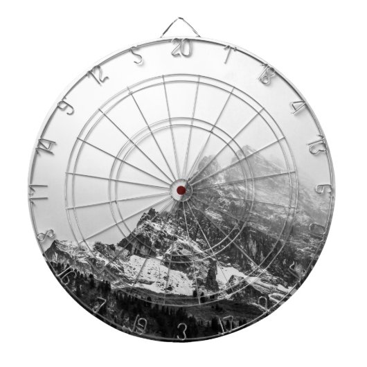 Schwarz-Weiß-Schneeberg Dartscheibe (vorne)