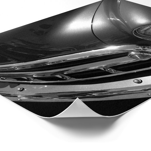 Schwarz-Weiß-Schönheit Poster (Ecke)