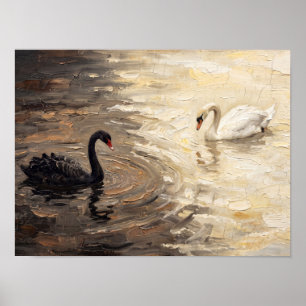 Schwarz-Weiß-Schwan-Gemälde Poster