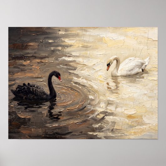 Schwarz-Weiß-Schwan-Gemälde Poster (Vorne)