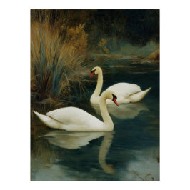 Schwarz-Weiß-Schwan-Paarplakat Poster