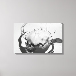 Schwarz-Weiß-Seekrabbe Leinwanddruck