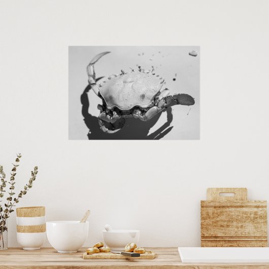 Schwarz-Weiß-Seekrabbe Poster (Küche)