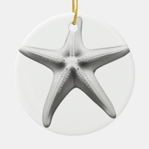 Schwarz-Weiß-Seestern Keramik Ornament