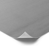 Schwarz-Weiß-Seezungenvögel Poster (Ecke)