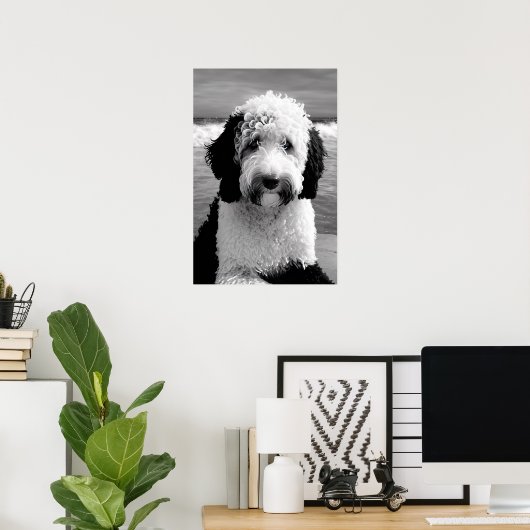 Schwarz-Weiß-Sheepadoodle-Poster Poster (Heimbüro)
