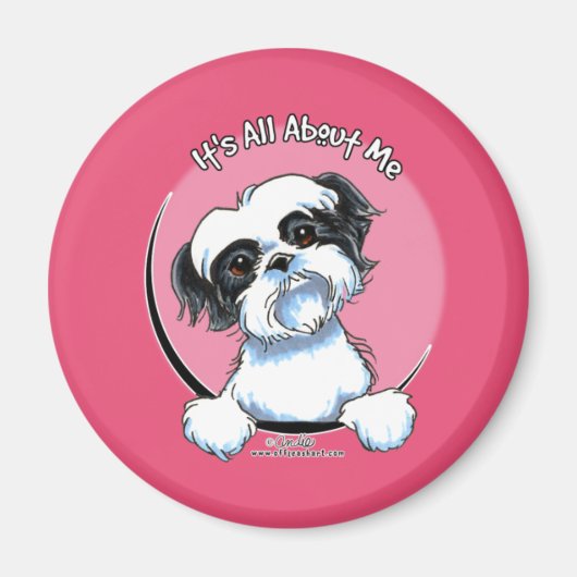 Schwarz/Weiß Shih Tzu IAAM Magnet (Vorne)
