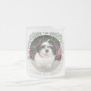 Schwarz & Weiß Shih Tzu Welpe Rettungshund Mattglastasse