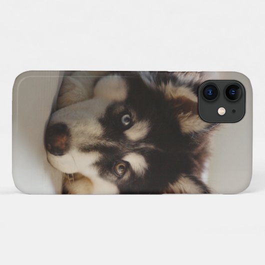 Schwarz-Weiß-sibirischer Husky Case-Mate iPhone Hülle (Rückseite (Horizontal))