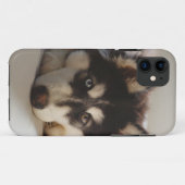 Schwarz-Weiß-sibirischer Husky Case-Mate iPhone Hülle (Rückseite (Horizontal))