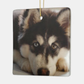 Schwarz-Weiß-sibirischer Husky Keramikornament (Links)