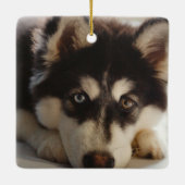 Schwarz-Weiß-sibirischer Husky Keramikornament (Rückseite)
