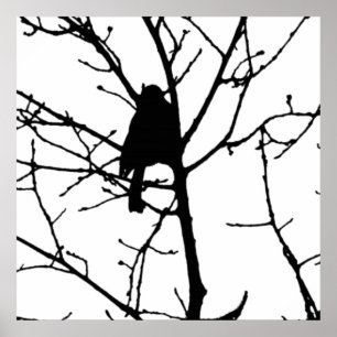Schwarz-Weiß-Silhouette der Kiche in einem Baum Poster