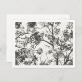 Schwarz-Weiß-Silhouette Postkarte (Vorne/Hinten)