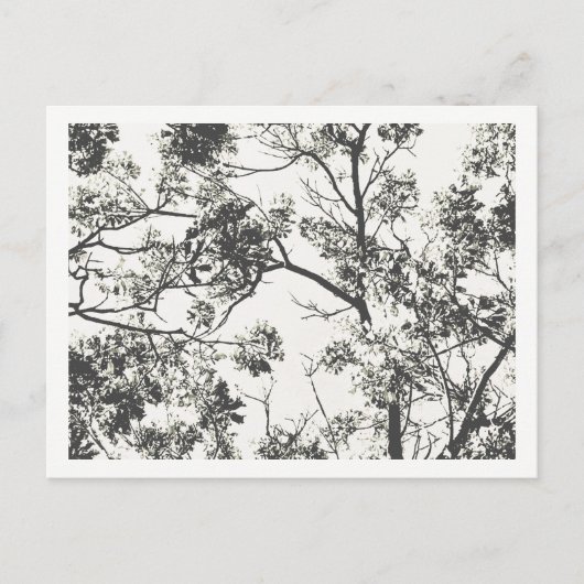 Schwarz-Weiß-Silhouette Postkarte (Vorderseite)