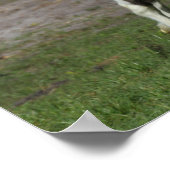 Schwarz-Weiß-Sinti und Roma Vanner Foal Running Poster (Ecke)