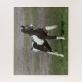 Schwarz-Weiß-Sinti und Roma Vanner Foal Running Puzzle (Vertikal)