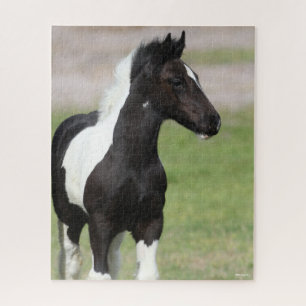 Schwarz-Weiß-Sinti und Roma Vanner Foal Stehend Puzzle