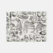 Schwarz-Weiß-Skelett Mammalia Fleecedecke (Vorderseite (Horizontal))