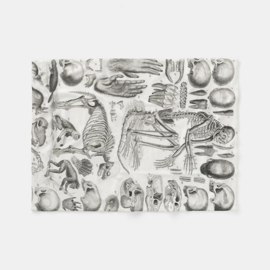 Schwarz-Weiß-Skelett Mammalia Fleecedecke (Vorderseite (Horizontal))