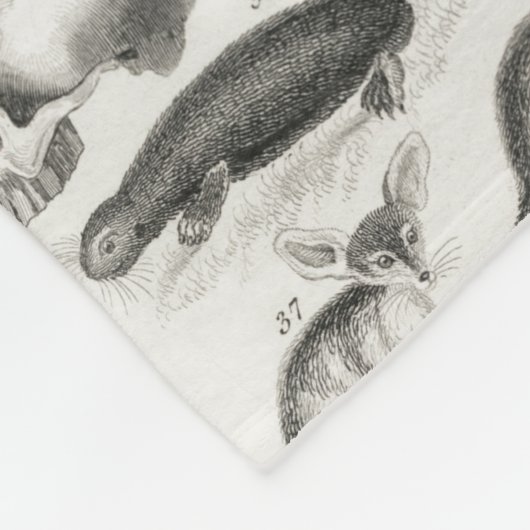 Schwarz-Weiß-Skelett Mammalia Fleecedecke (Ecke)