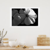 Schwarz-Weiß-Sonne Poster (Küche)