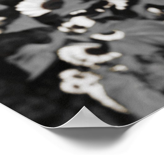 Schwarz-Weiß-Sonnenblumen Poster (Ecke)