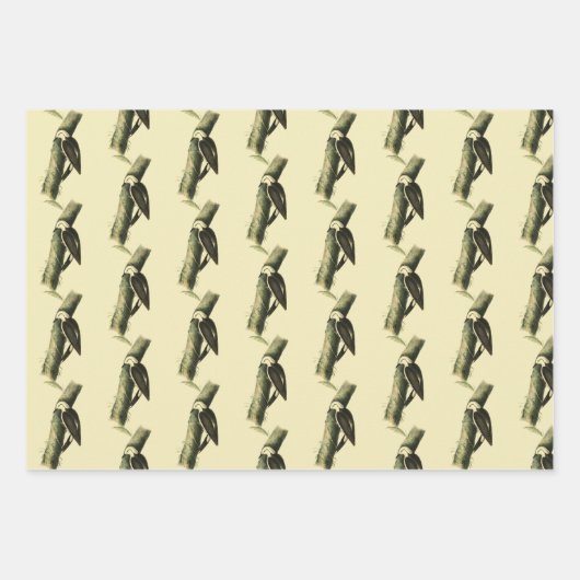 Schwarz-Weiß-Specker Geschenkpapier Set (Vorderseite)