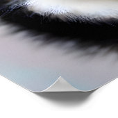 Schwarz-Weiß-Spitz-Poster Poster (Ecke)