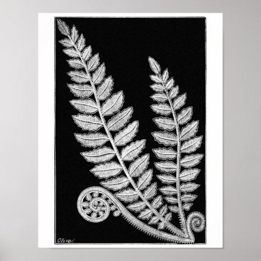 Schwarz-Weiß-Spitzen Fern Vintage Plakat Kunst, Di (Vorne)