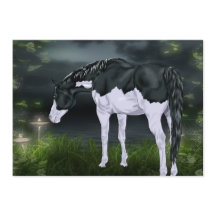 Schwarz-Weiß-Splash-Rahmen Paint Horse Print