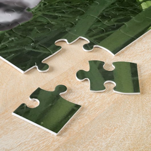 Schwarz-Weiß-Springer-Spaniel gegen Daffodien Puzzle (Seite)