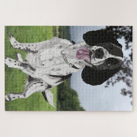 Schwarz-Weiß-Springer Spaniel Puzzle (Horizontal)