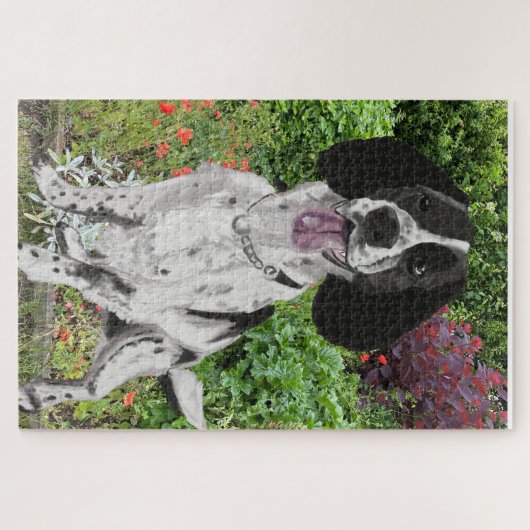 Schwarz-Weiß-Springer Spanier gegen eine Blume Puzzle (Horizontal)