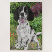 Schwarz-Weiß-Springer Spanier gegen eine Blume Puzzle (Vertikal)