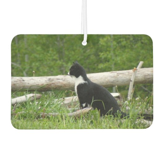 Schwarz-Weiß-Stall Kitten Autolufterfrischer (Vorderseite)