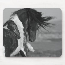 Schwarz-Weiß-Stallion Strikes Wildhorse-Mousepad