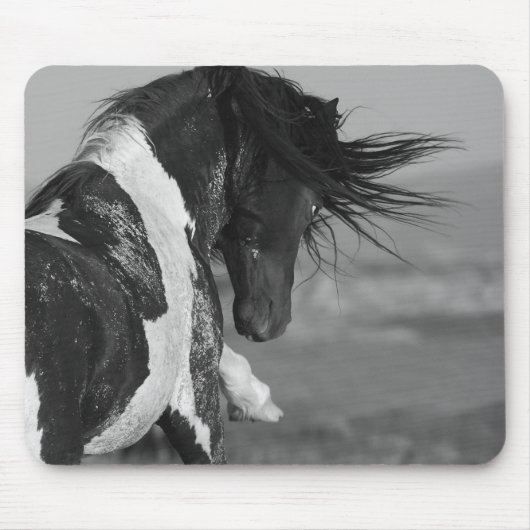 Schwarz-Weiß-Stallion Strikes Wildhorse-Mousepad Mousepad (Vorne)