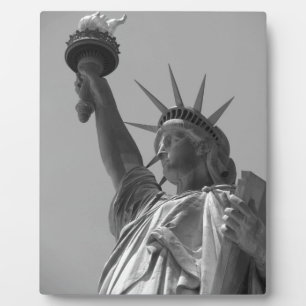 Schwarz-Weiß-Statue der Freiheit New York City Fotoplatte