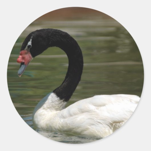 Schwarz-Weiß-Sticker Runder Aufkleber (Vorderseite)