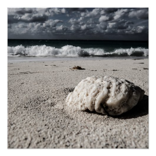 Schwarz-Weiß-Strand Poster (Vorderseite)